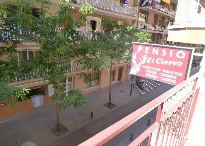 Guest house El Ciervo